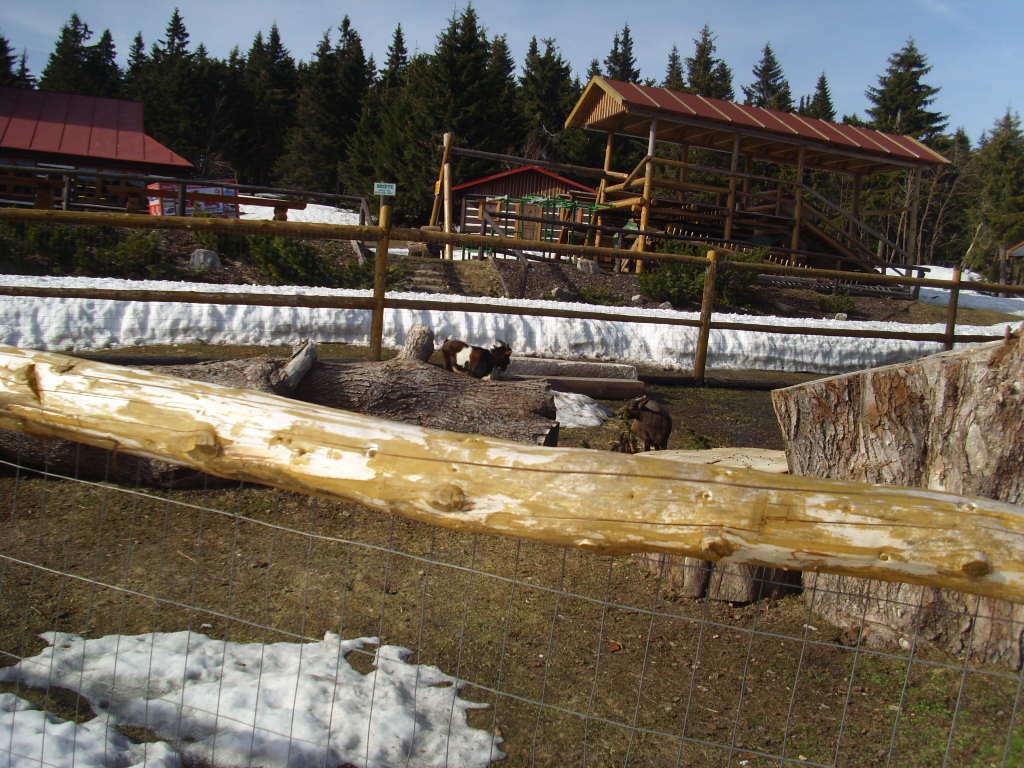 škola v přírodě 210