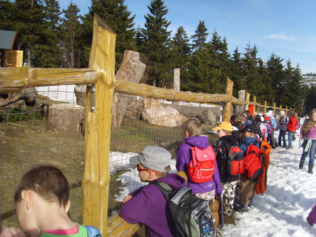 škola v přírodě 215