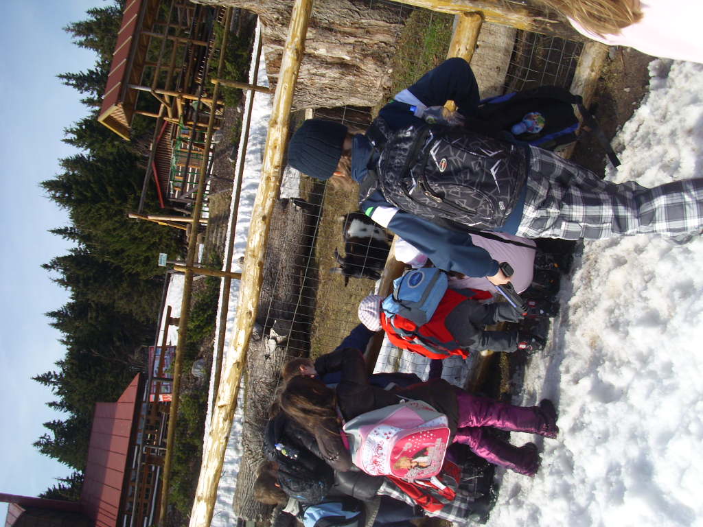 škola v přírodě 217